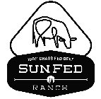 100% GRASS FED BEEF SUNFED RANCH