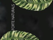 FORTE NATURALS