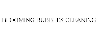 BLOOMING BUBBLES CLEANING