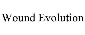 WOUND EVOLUTION