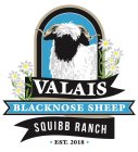 VALAIS BLACKNOSE SHEEP SQUIBB RANCH EST. 2018