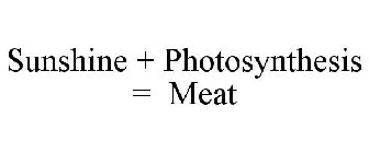 SUNSHINE + PHOTOSYNTHESIS = MEAT