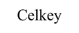 CELKEY