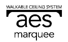 AES MARQUEE WALKABLE CEILING SYSTEM