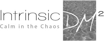 INTRINSIC CALM IN THE CHAOS DM 2