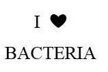 I BACTERIA