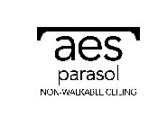 AES PARASOL NON-WALKABLE CEILING