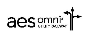 AES OMNI UTILITY RACEWAY