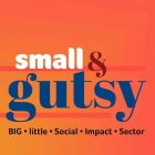 SMALL & GUTSY BIG · LITTLE ·SOCIAL · IMPACT · SECTOR