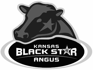 KANSAS BLACK STAR ANGUS