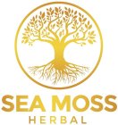 SEA MOSS HERBAL