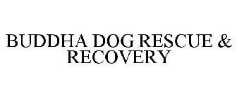 BUDDHA DOG RESCUE & RECOVERY