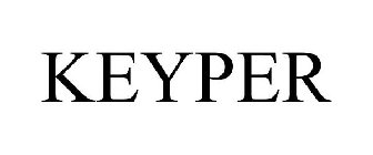 Image for trademark with serial number 90695610