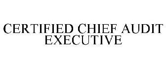 CERTIFIED CHIEF AUDIT EXECUTIVE