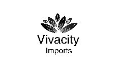 VIVACITY IMPORTS