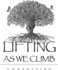 LIFTING AS WE CLIMB CONSULTING