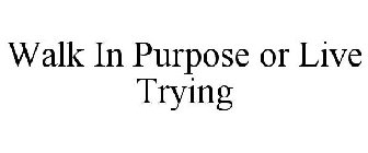 WALK IN PURPOSE OR LIVE TRYING