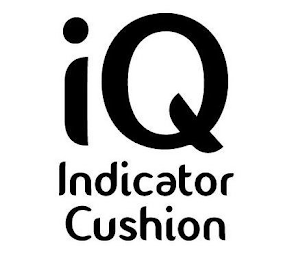 IQ INDICATOR CUSHION