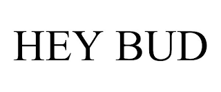 HEY BUD
