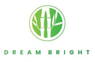 DREAM BRIGHT