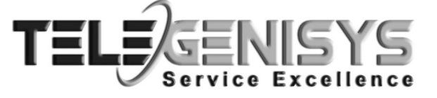 TELEGENISYS SERVICE EXCELLENCE