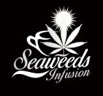SEAWEEDS INFUSION