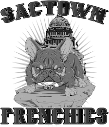 SACTOWN STF FRENCHIES