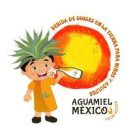 BEBIDA DE DIOSES EN LA TIERRA PARA NIÑOS Y ADULTOS AGUAMIEL MÉXICO LECHE AZTECA