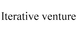 ITERATIVE VENTURE