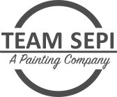 TEAM SEPI A PAINTING COMPANY