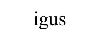 IGUS