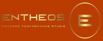 ENTHEOS PROCESS PERFORMANCE STUDIO E