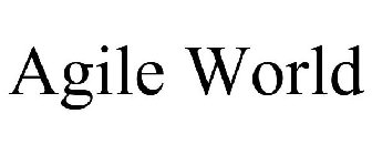 AGILE WORLD