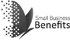 SMALL BUSINESS BENEFITS