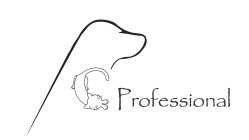 PCPROFESSIONAL