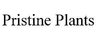 PRISTINE PLANTS