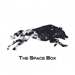THE SPACE BOX