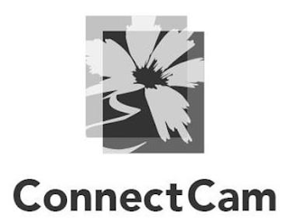 CONNECT CAM