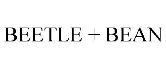 BEETLE + BEAN
