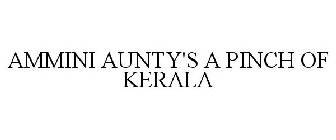 AMMINI AUNTY'S A PINCH OF KERALA