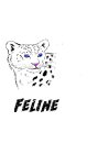 FELINE