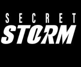 SECRET STORM