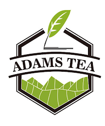 ADAMS TEA