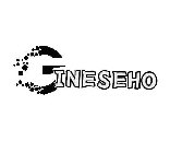 GINESEHO