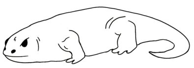 Image Trademark