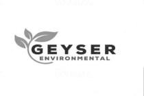 GEYSER ENVIRONMENTAL