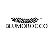 BLUMOROCCO