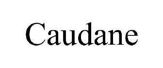 CAUDANE