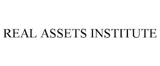REAL ASSETS INSTITUTE