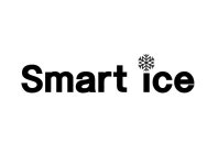 SMART ICE